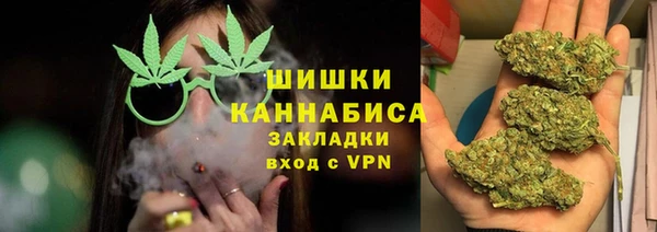 молекула духа Новодвинск