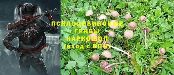 эйфоретик Новозыбков